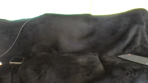 juanmamestre94 online show from October 7, 1:41 pm