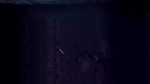 Snapshot of jugg2 chatting on December 20, 9:16 am Jugg online show from December 20, 9:16 am