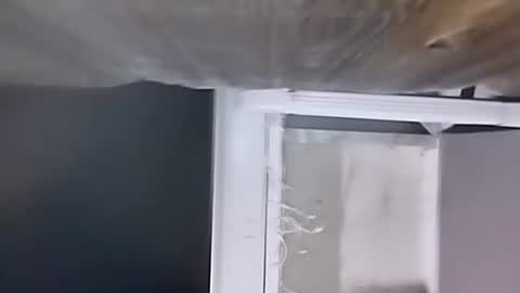 Snapshot of jugg3 chatting on December 9, 2:34 am Carlos online show from December 9, 2:34 am