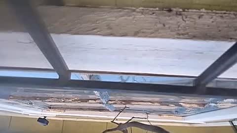 Snapshot of jugg3 chatting on January 13, 7:31 pm Carlos online show from January 13, 7:31 pm