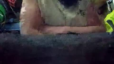 juicyweiner online show from October 28, 8:51 am