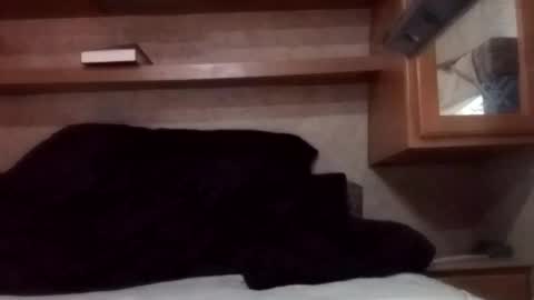 Snapshot of juish5521 chatting on March 3, 12:26 am Juish5521 online show from March 3, 12:26 am