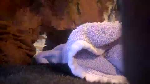 Snapshot of juish5521 chatting on March 6, 10:09 am Juish5521 online show from March 6, 10:09 am