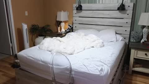 Texas Mamasita online show from December 23, 3:04 am