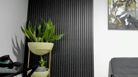 Snapshot of juliansexxx16 chatting on February 19, 12:06 am Julian online show from February 19, 12:06 am