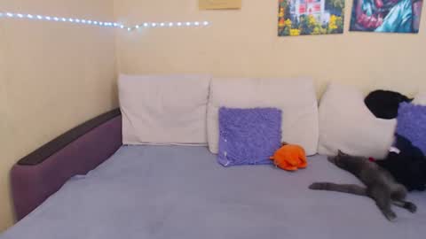 Snapshot of juliasane_ chatting on September 12, 2:06 pm Jul online show from September 12, 2:06 pm