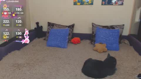 Jul online show from February 21, 2:40 pm