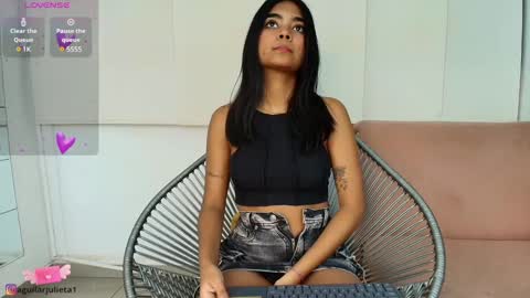 Snapshot of julieta_aguilar chatting on January 4, 7:23 pm Juli online show from January 4, 7:23 pm