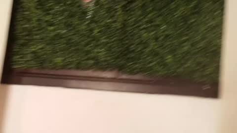 Juli online show from March 13, 12:12 pm