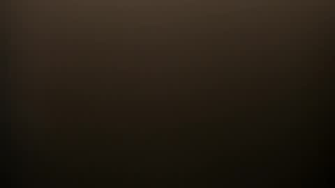     online show from February 14, 9:00 pm