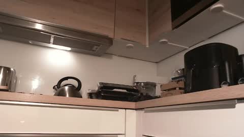 Gregor online show from December 28, 9:20 am