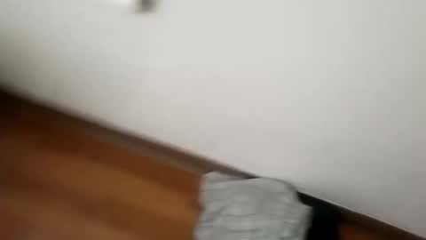 Snapshot of junior69king chatting on January 1, 6:15 am manolito online show from January 1, 6:15 am