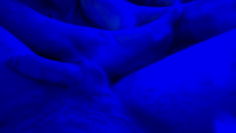 Snapshot of just4funfunfun87 chatting on January 14, 7:59 am Yuri online show from January 14, 7:59 am