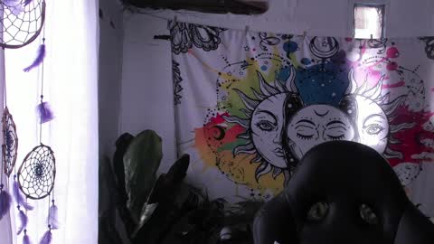 Sofia online show from February 5, 9:40 pm