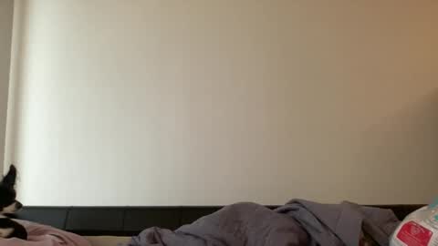 Jess online show from January 25, 10:07 pm