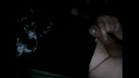 Snapshot of justpervfun chatting on December 8, 6:39 pm justpervfun online show from December 8, 6:39 pm