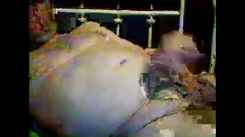 Snapshot of justpervfun chatting on January 15, 12:41 am justpervfun online show from January 15, 12:41 am