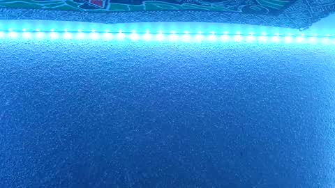 Snapshot of justtaryn chatting on February 22, 1:33 am Midnitestarr online show from February 22, 1:33 am