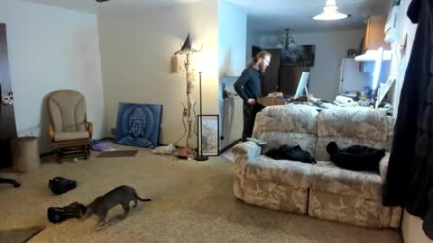 Kaiku77 online show from January 6, 8:56 pm