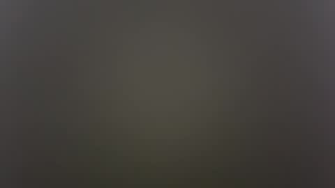          Anime Goth Kaila Kitty Kandy          online show from October 30, 8:49 am