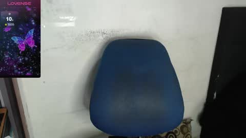 Sanctuary online show from January 6, 3:51 pm