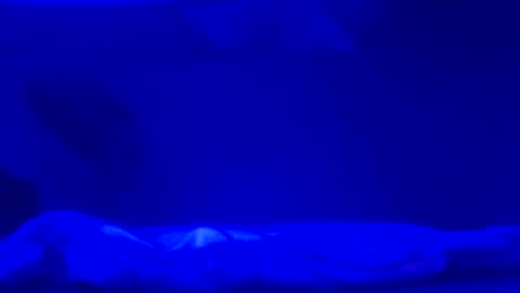 Snapshot of karla_gonzaless chatting on November 2, 6:49 am Karla Gonzaless online show from November 2, 6:49 am