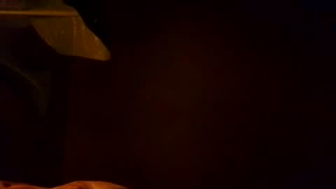 Snapshot of karla_gonzaless chatting on November 4, 6:56 am Karla Gonzaless online show from November 4, 6:56 am