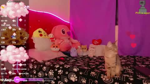 karol online show from November 18, 11:25 am