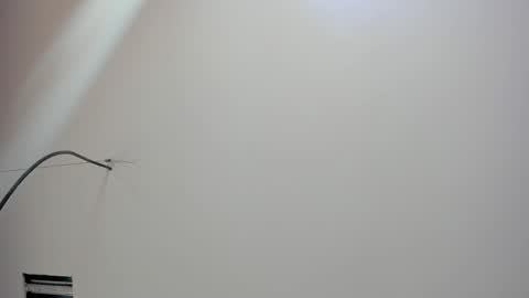 Kate  online show from February 18, 12:01 pm