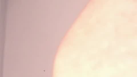 Help me with rate thanks  online show from January 7, 3:03 am