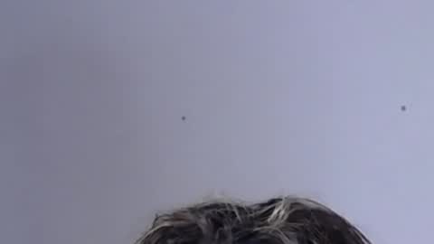 Help me with rate thanks  online show from February 2, 4:48 am