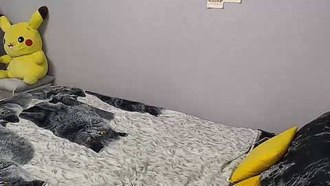 Snapshot of kathrineberry chatting on January 31, 2:07 pm KathrineBerry online show from January 31, 2:07 pm