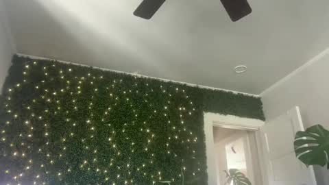 Kate online show from December 30, 4:40 pm