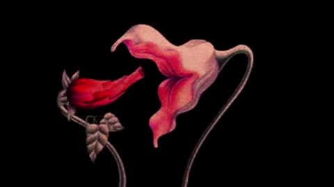 Snapshot of katsurotaro chatting on November 14, 9:24 pm katsuro online show from November 14, 9:24 pm