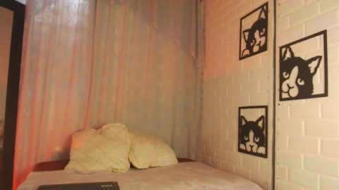 kattia online show from February 18, 9:31 pm