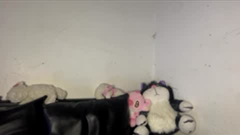 kattia online show from March 16, 3:23 am