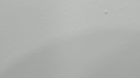 katy blonde girl and paola big boobs online show from January 17, 1:47 am