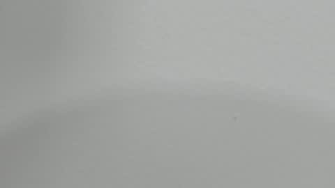 katy blonde girl and paola big boobs online show from January 30, 2:06 am