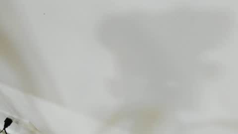 katy blonde girl and paola big boobs online show from June 17, 7:04 pm