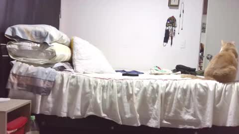  Khawit  online show from October 29, 12:07 pm