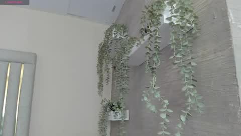 keirahartz online show from April 30, 11:38 am