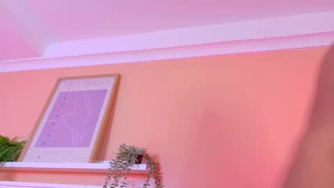   online show from November 27, 10:17 am