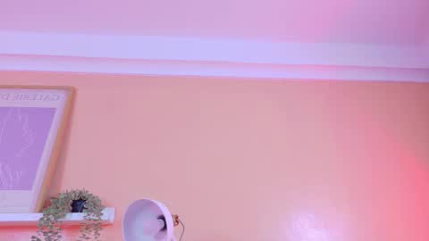   online show from January 14, 9:04 am