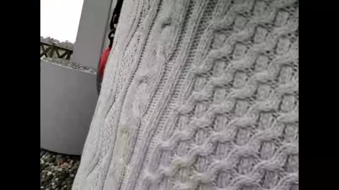 kenhiking online show from February 19, 5:25 am