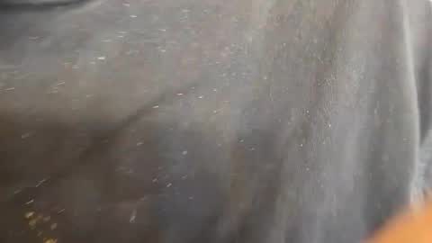 kevinevans448 online show from September 9, 8:30 pm