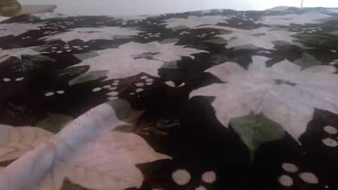 Snapshot of kinky_k80 chatting on November 24, 2:50 pm Kinky K80 online show from November 24, 2:50 pm