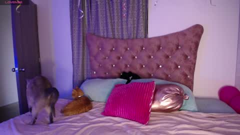 Snapshot of kinkydoll_ chatting on December 11, 10:16 pm Sara online show from December 11, 10:16 pm