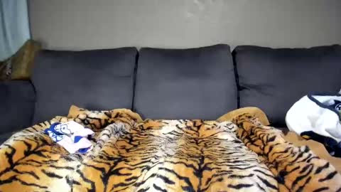 Kinky online show from February 11, 12:16 pm