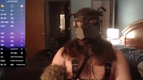 kinkywolf87 online show from February 2, 8:24 am