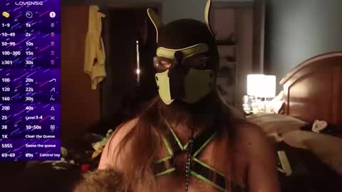 kinkywolf87 online show from December 2, 5:02 am